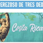 TOALLA PEREZOSO COSTA RICA SERIE CR MTB